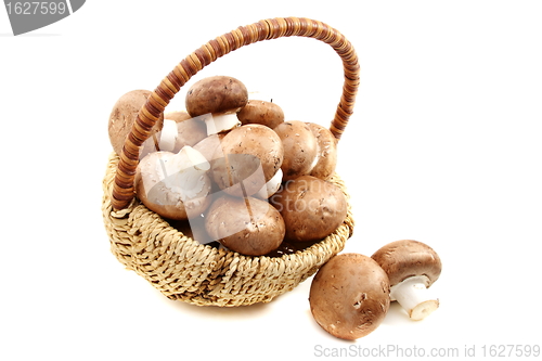 Image of Basket with mushrooms.