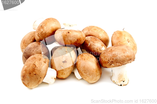 Image of Brown mushrooms.