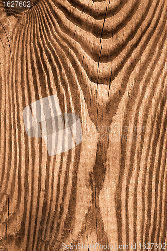 Image of Wooden cutting board. Sepia