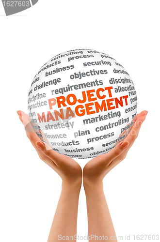 Image of Project Management