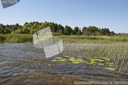 Image of Shore of lake in summer time