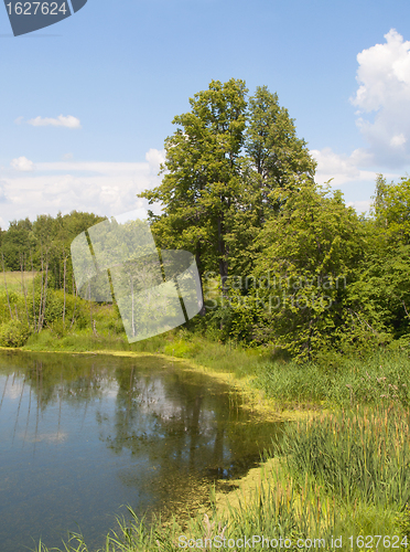 Image of Small forest lake