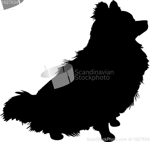 Image of Pomeranian Silhouette