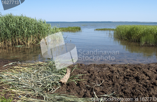 Image of Shore of lake Pleshcheyevo in summer time