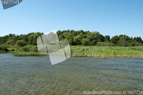 Image of Shore of lake Pleshcheyevo, summer time