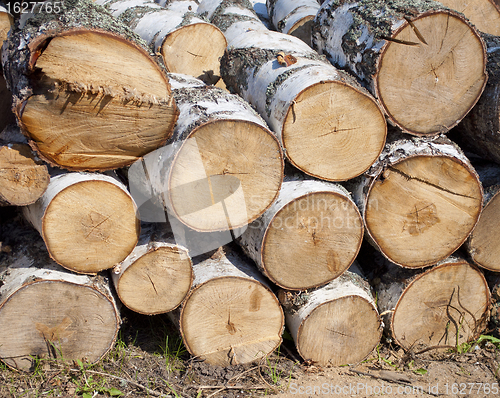 Image of Pile of birch firewood