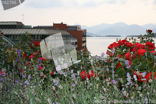 Image of Molde, the town of jazz and roses