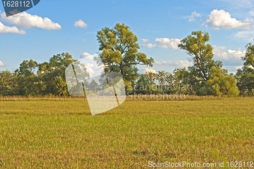 Image of Sloping field in autumn