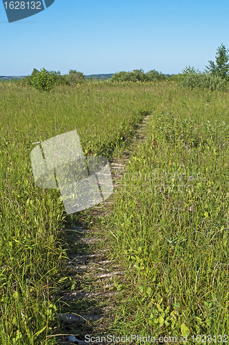 Image of Causeway across the marsh