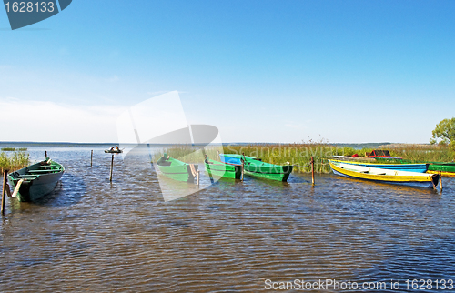 Image of Anchored wooden boats in small bay