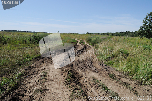 Image of Dirt road in the meadow