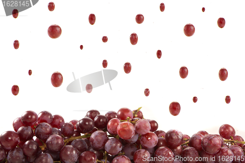 Image of Raining grapes