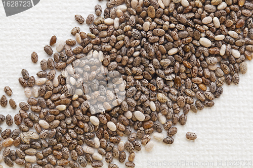 Image of chia seeds on white canvas