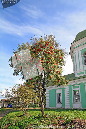 Image of red rowanberry near town construction