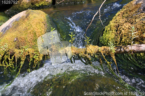 Image of quick flow amongst stone