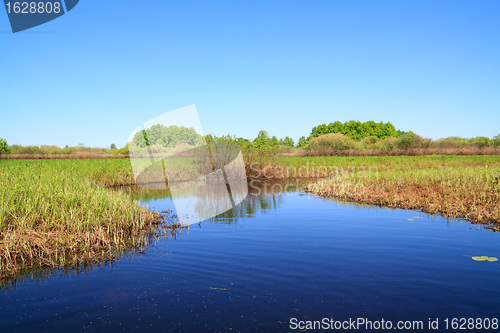 Image of small river on spring field