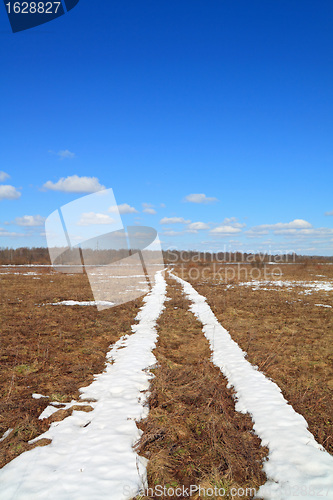 Image of snow road on yellow herb