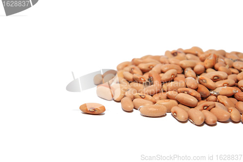 Image of bean on white background