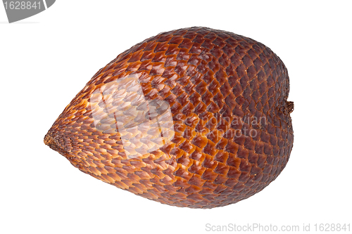 Image of Snake fruit