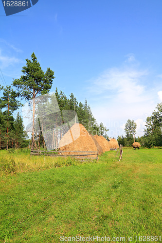 Image of stack hay near pine wood