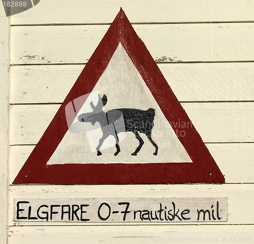 Image of Moose