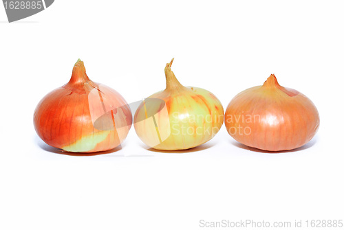 Image of onion on white background
