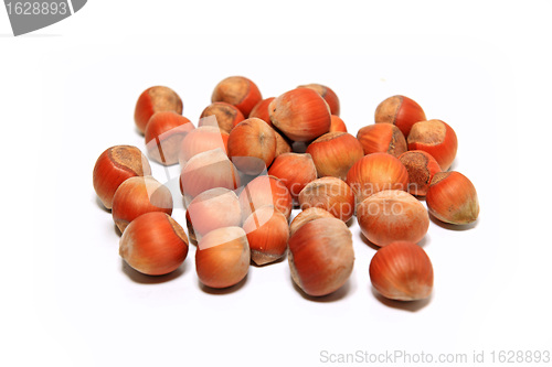 Image of ripe hazelnut on white background