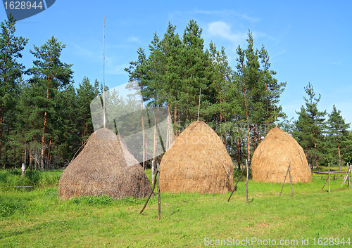 Image of stack hay near pine wood