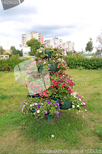 Image of flowerses on decorative town lawn