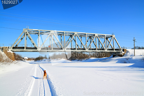 Image of redhead dog on river ice near railway bridge
