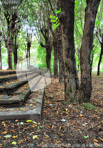 Image of aging stairway in autumn park