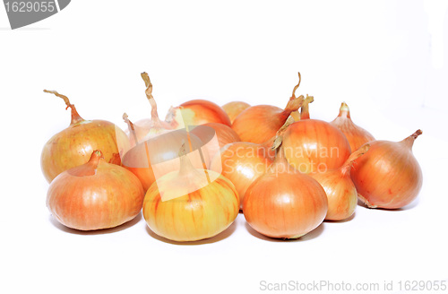 Image of onion on white background