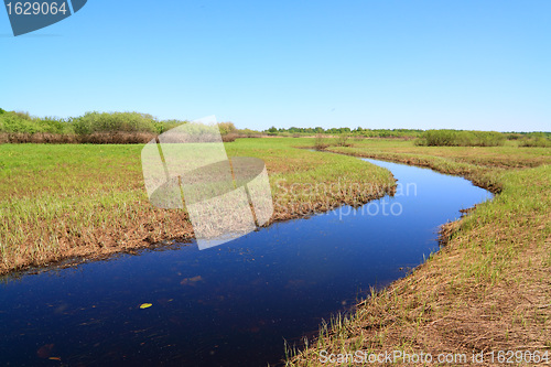 Image of small river on spring field