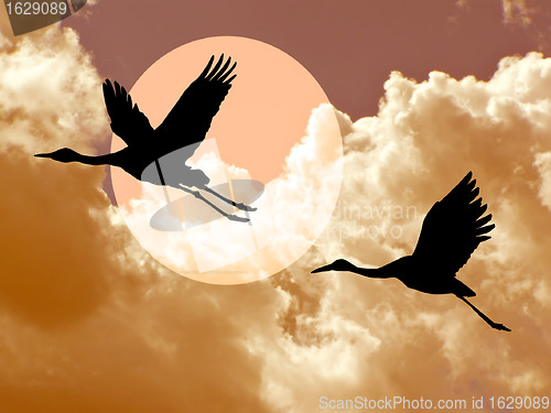 Image of crane in cloudy sky 
