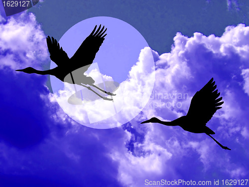 Image of crane in cloudy sky 