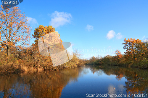 Image of autumn wood on coast river