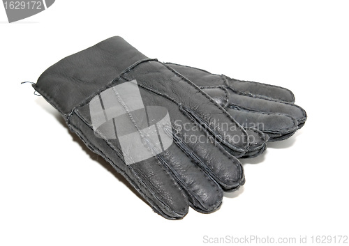 Image of black gloves on white background