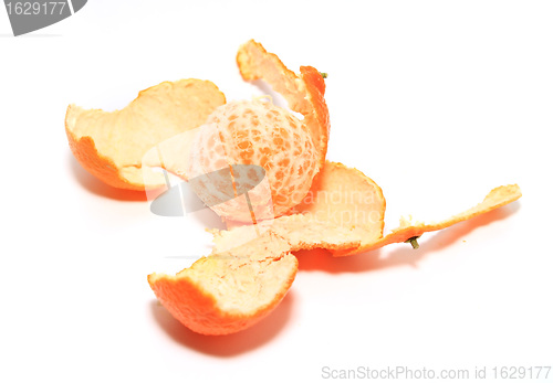 Image of orange tangerine on white background