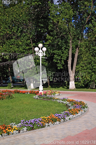 Image of flowerses in summer town park