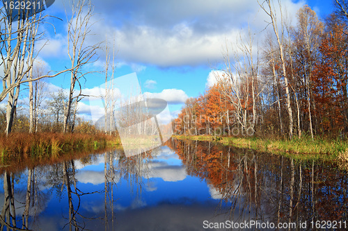 Image of autumn wood on coast river