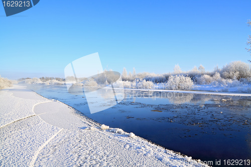 Image of snow bushes on coast river 