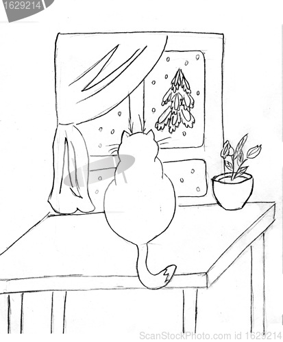 Image of drawing of the cat on table against window