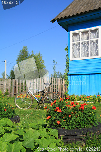 Image of summer flowerses near rural building 