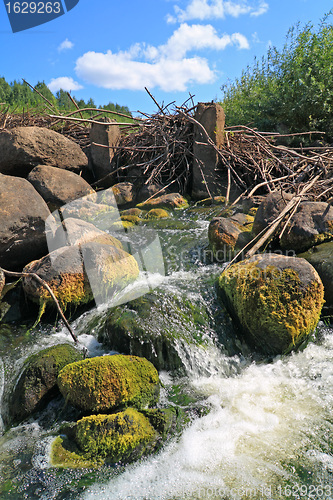 Image of quick flow amongst stone