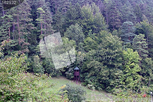 Image of hunting space