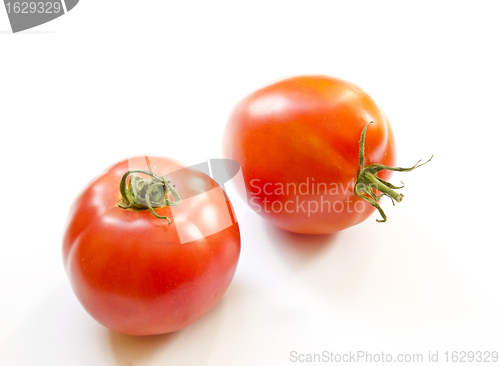 Image of Couple of healthy tomatoes. 