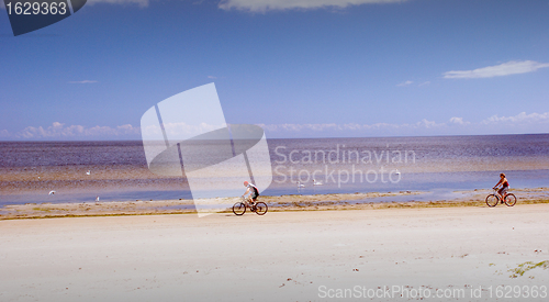 Image of Cycling near the sea 