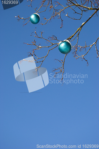 Image of New year toy hanging on a tree branches. 