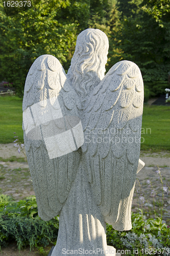 Image of Angel sculpture from behind.  