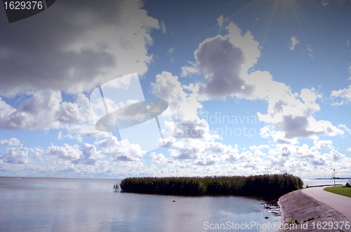 Image of Lake bay fragment near road. Reed and water birds. 